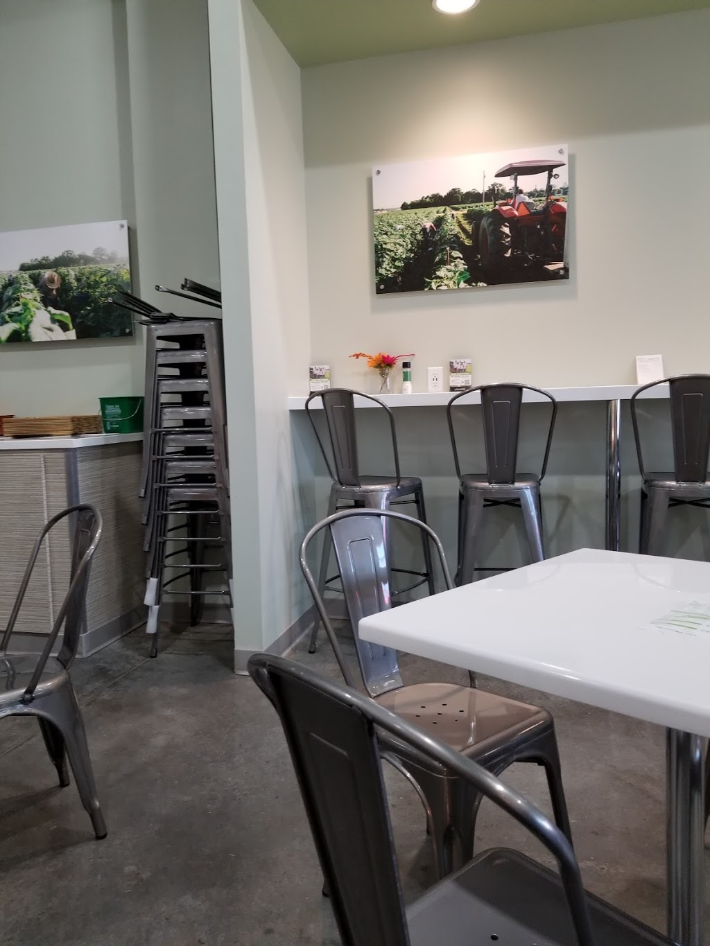 The Salad Station | restaurant | 7765 Airport Blvd suite e 170, Mobile, AL 36608, USA | 2512438388 OR +1 251-243-8388