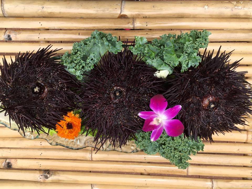 UniKo Japanese House | restaurant | 17803 La Cantera Terrace #1101, San Antonio, TX 78256, USA | 2102396610 OR +1 210-239-6610