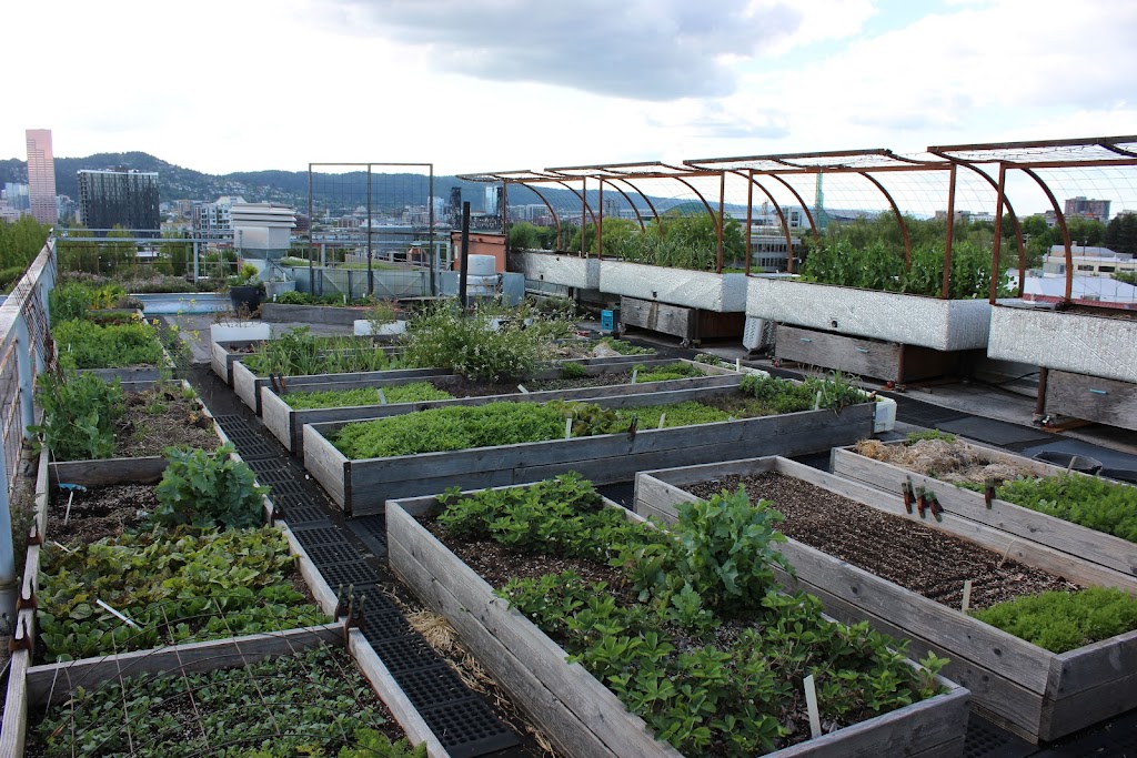 Noble Rot | restaurant | 1111 East Burnside Street, Fourth Floor, Portland, OR 97214, USA | 5032331999 OR +1 503-233-1999