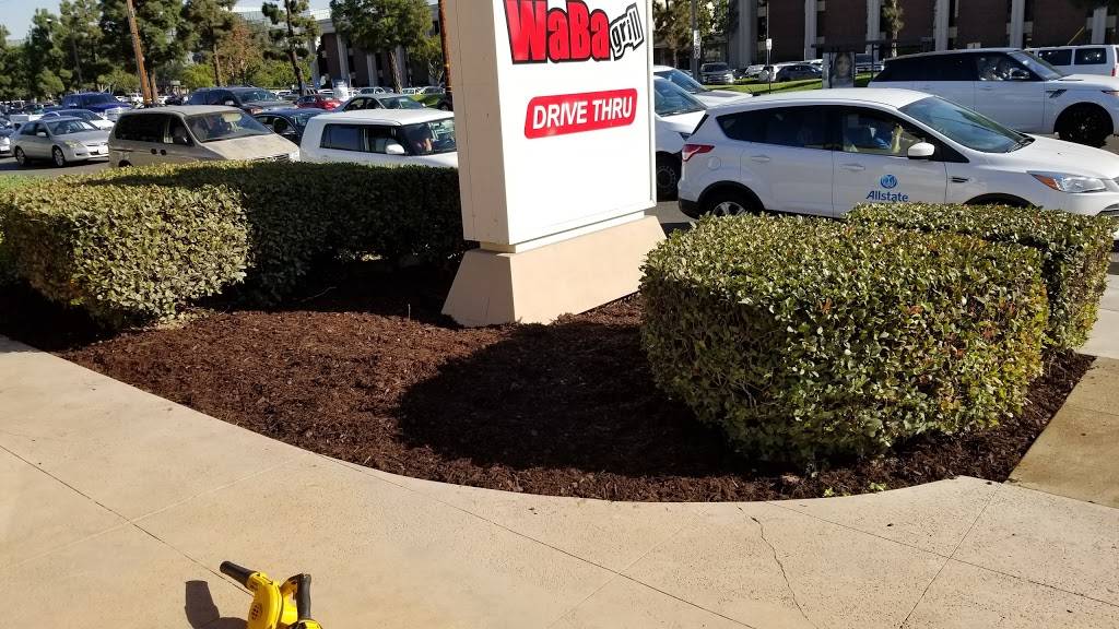 WaBa Grill | restaurant | 11045 Warner Ave, Fountain Valley, CA 92708, USA | 7145319222 OR +1 714-531-9222
