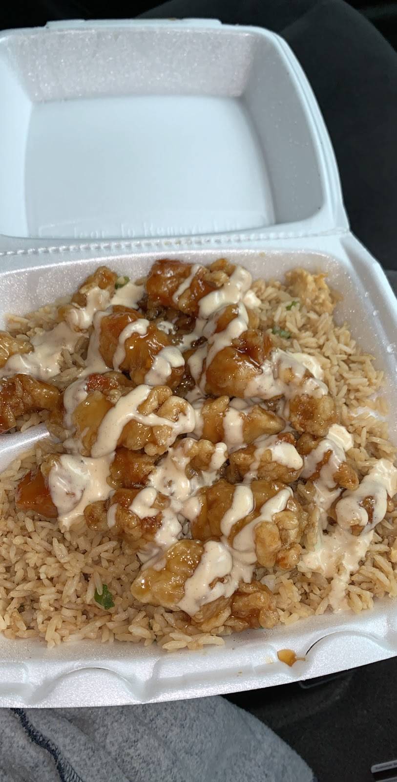 Sakura Japanese Cuisine | restaurant | 202 Broad St, Elyria, OH 44035, USA | 4407313360 OR +1 440-731-3360