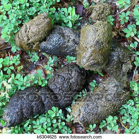 PJs Fish & Chicken | restaurant | 736 Greens Rd, Houston, TX 77060, USA | 2818474447 OR +1 281-847-4447