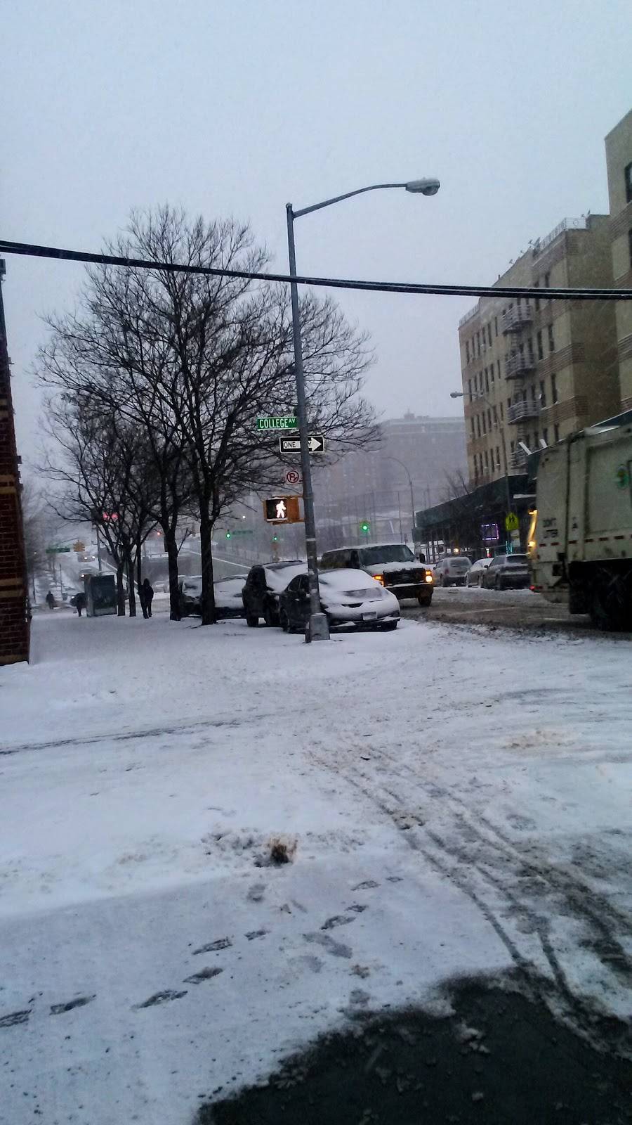 Taino Taste | restaurant | 1106, 302 E 170th St, Bronx, NY 10456, USA | 3474311724 OR +1 347-431-1724