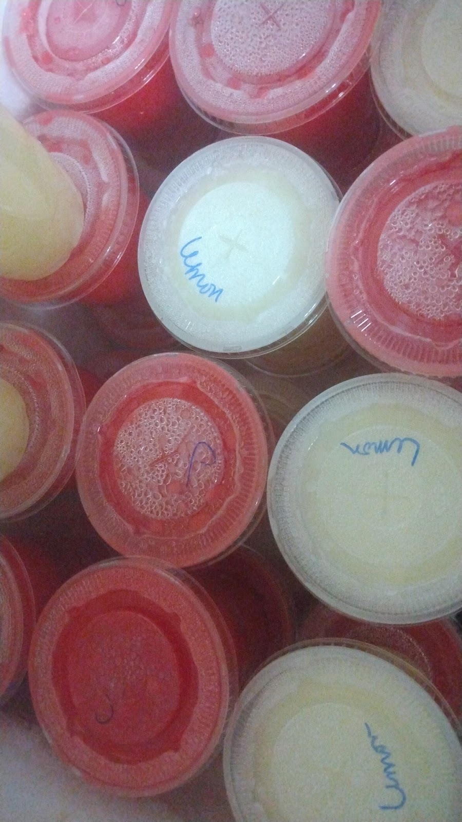 Paraphrazes llc | meal takeaway | 306 S 18th St, Baton Rouge, LA 70802, USA | 2252889679 OR +1 225-288-9679