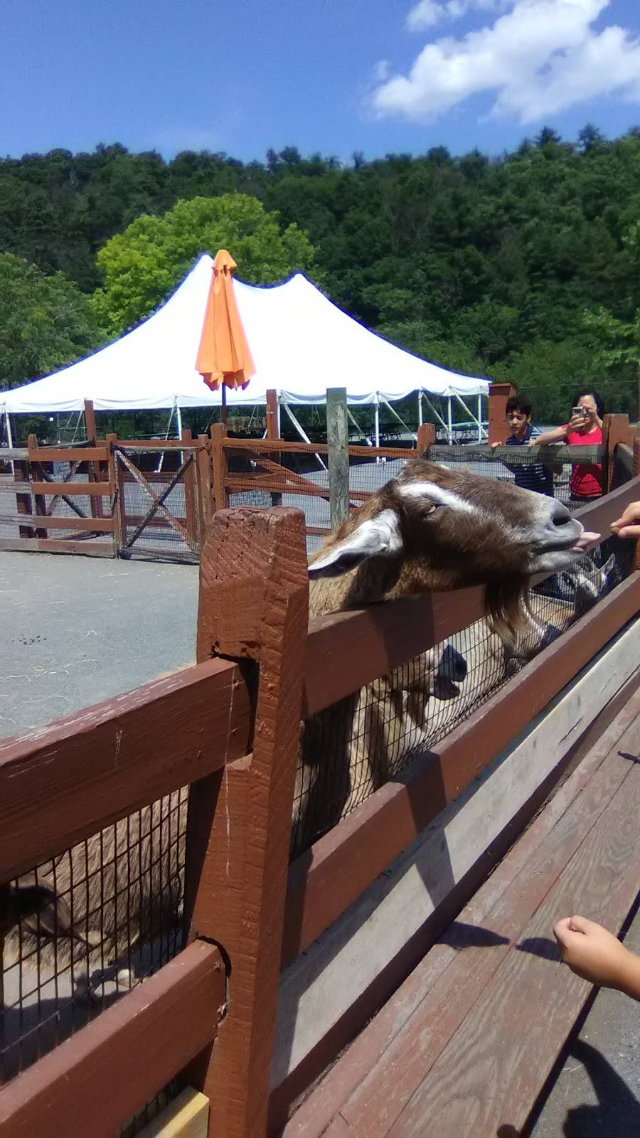 Culinary Experts | restaurant | 1825 W Chew St, Allentown, PA 18104, USA | 6108200800 OR +1 610-820-0800