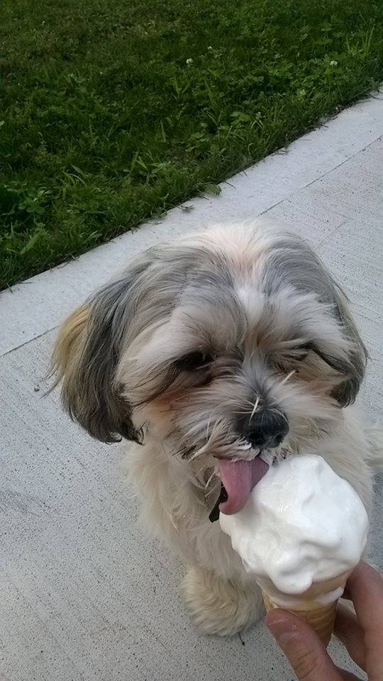 Lakewood Cafe | cafe | 13451 Riverside Dr E, Windsor, ON N8N 2M8, Canada | 5195516889 OR +1 519-551-6889