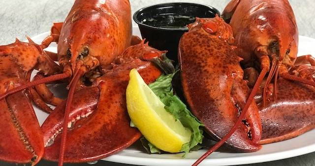 Lobster Pound Restaurant | restaurant | 2521 Atlantic Hwy, Lincolnville, ME 04849, USA | 2077895550 OR +1 207-789-5550