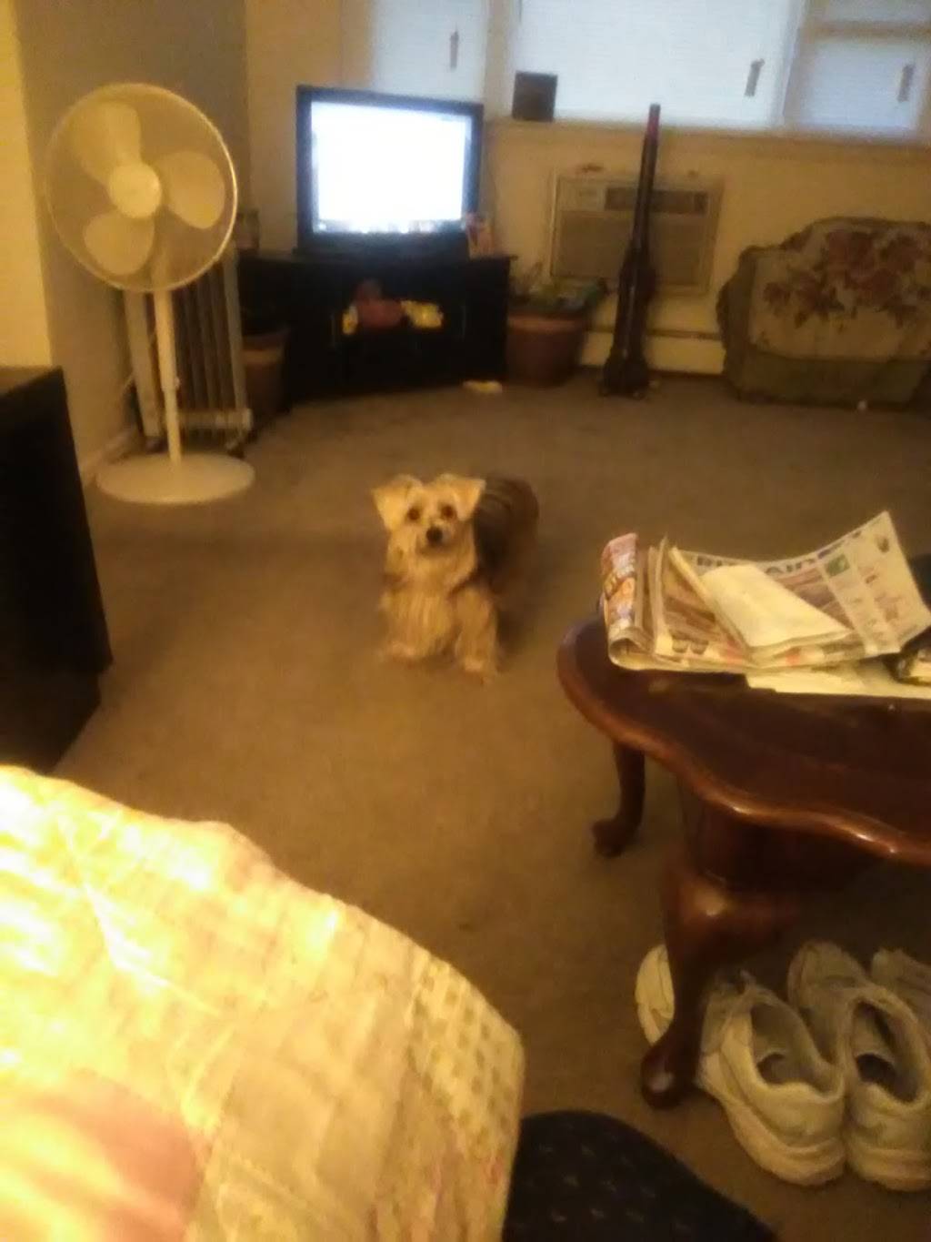 Wings To Go - Fairless Hills, PA | restaurant | 513 S Oxford Valley Rd, Fairless Hills, PA 19030, USA | 2159469995 OR +1 215-946-9995