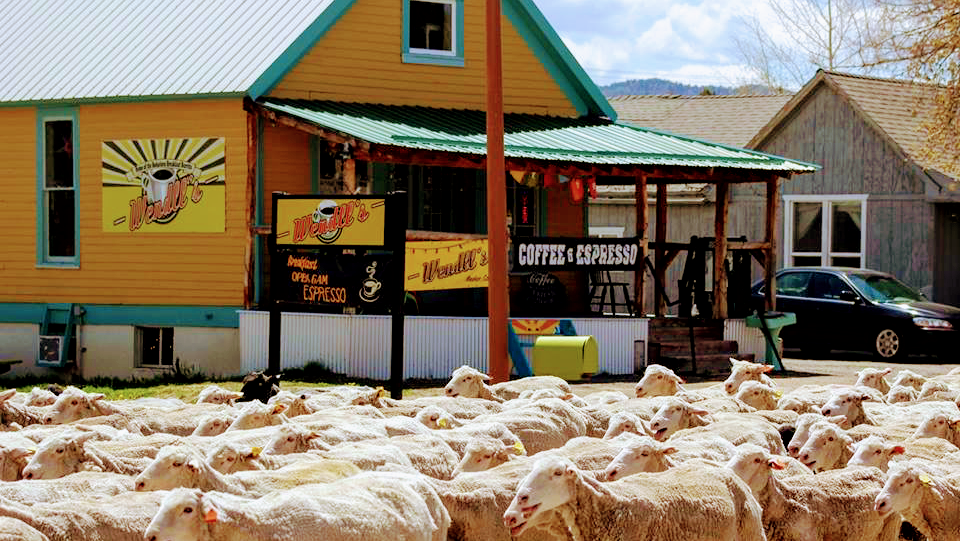 Wendlls | restaurant | 206 Market St, Meeker, CO 81641, USA | 9708783688 OR +1 970-878-3688