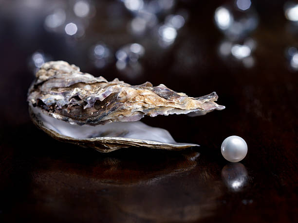 Pearls Deep Dive | restaurant | 100 S Main St, Royal Oak, MI 48067, USA | 2482682875 OR +1 248-268-2875
