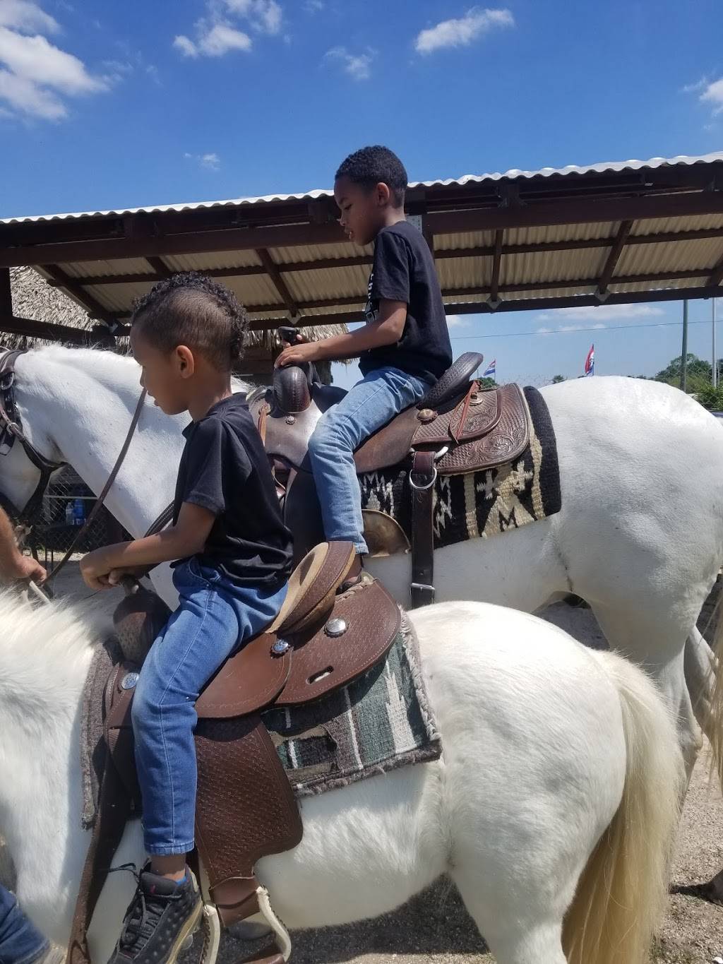 El Tamalazo de Krome | restaurant | 12100 SW 177th Ave, Miami, FL 33196, United States | 7863028487 OR +1 786-302-8487