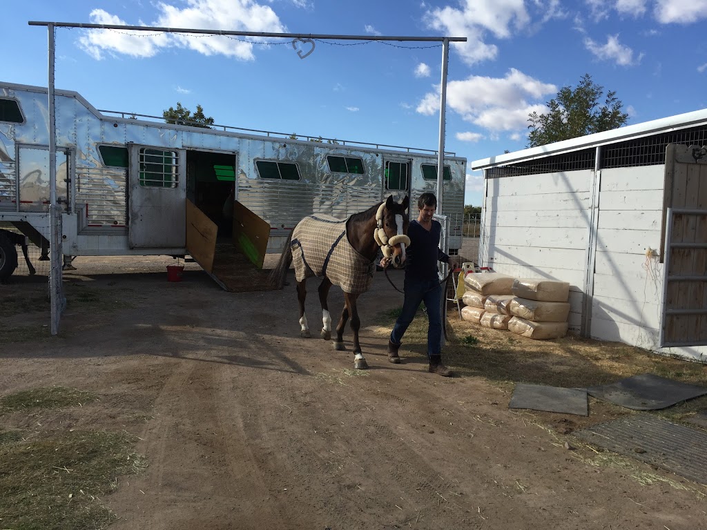 Open Heart G Farms LLC | restaurant | 1811 Mule Deer Trail, Anthony, NM 88021, USA | 9159205169 OR +1 915-920-5169