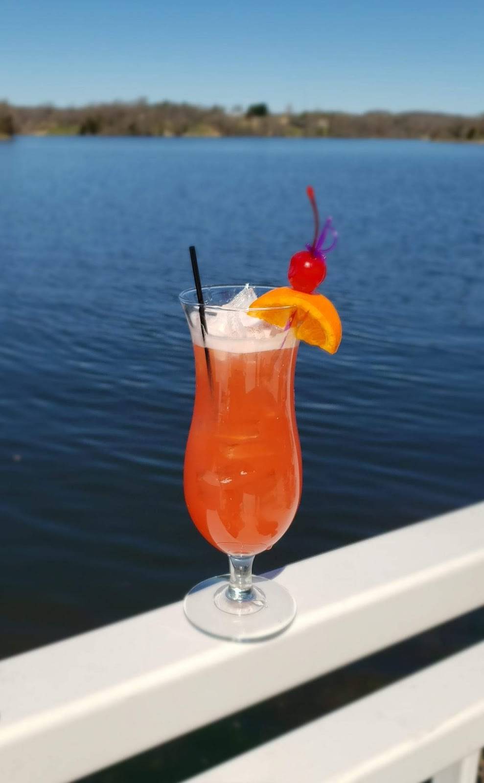 The Cove | restaurant | 14A158, Canyon Club Dr, Apple River, IL 61001, USA | 8154920277 OR +1 815-492-0277