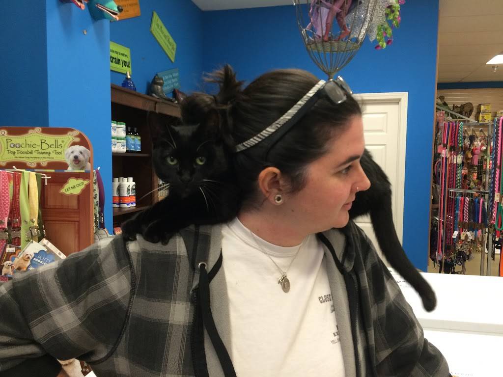 Bones2Go! | restaurant | 8805 Jones Rd #B101, Jersey Village, TX 77065, USA | 2818978000 OR +1 281-897-8000