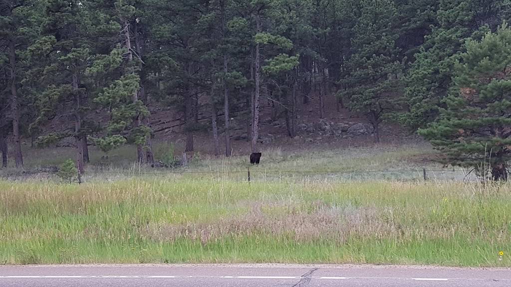 Ponderosa Country Store | meal takeaway | 39608 US-24, Florissant, CO 80816, USA | 7193777804 OR +1 719-377-7804