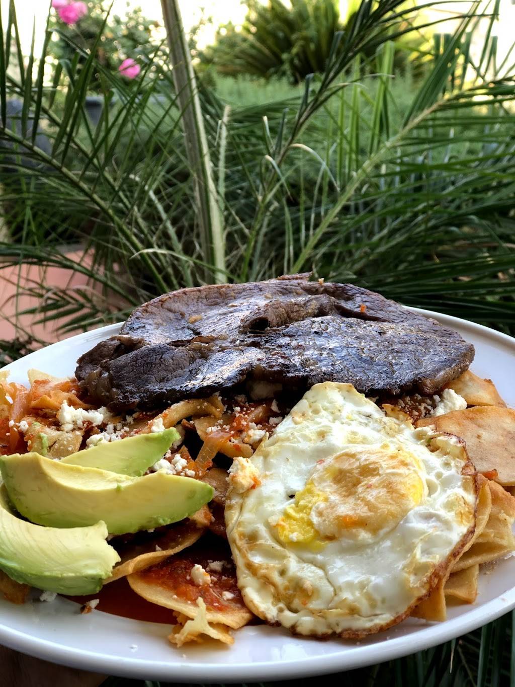 Delicias Las Palmas Taqueria y Mariscos | restaurant | 502 E Pacheco Blvd, Los Banos, CA 93635, USA | 2097100361 OR +1 209-710-0361