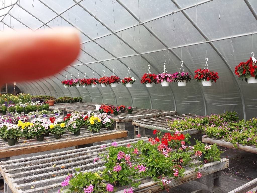 Dunkin Donuts | cafe | 55 US-6, Baldwin Place, NY 10505, USA | 9145516001 OR +1 914-551-6001