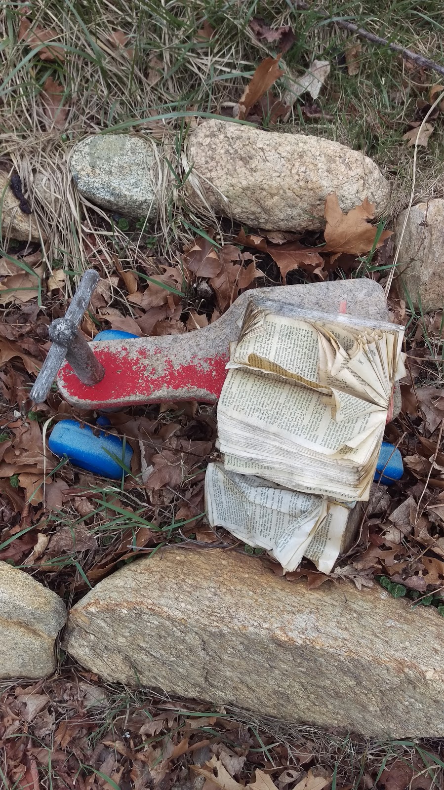 Shell | restaurant | 83 New York Ave, Oak Bluffs, MA 02557, USA | 5086930751 OR +1 508-693-0751