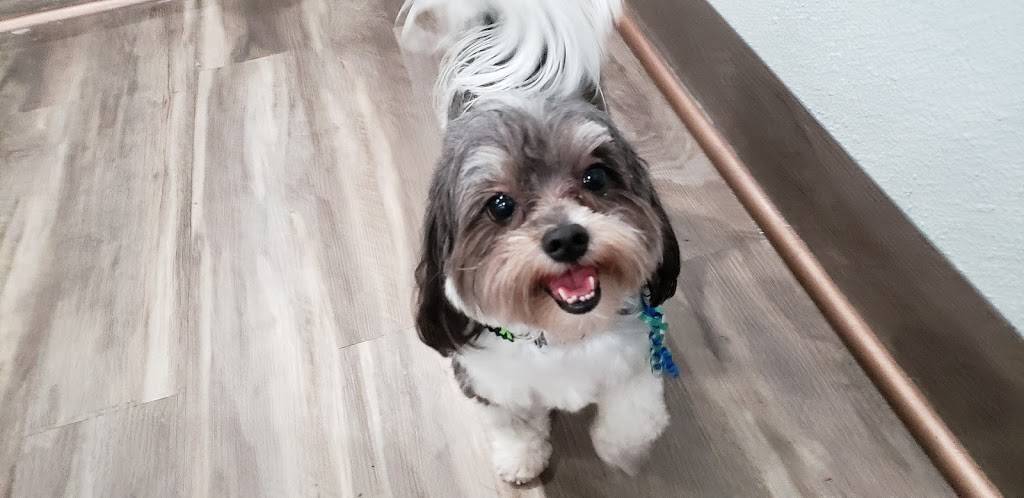 Pickles Playland | restaurant | 12669 NE 85th St, Kirkland, WA 98033, USA | 4252984530 OR +1 425-298-4530