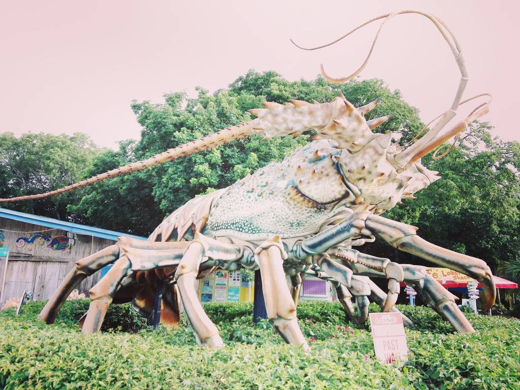 Lobster Shack | restaurant | 86700 Overseas Hwy, Islamorada, FL 33036, USA | 9542600469 OR +1 954-260-0469
