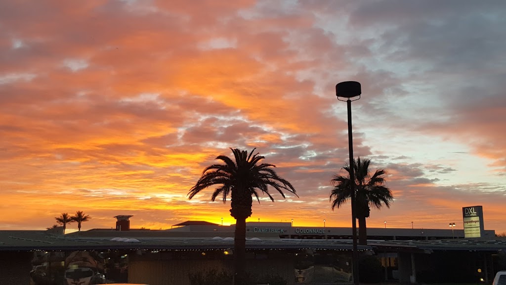 Starbucks | cafe | 1641 E Camelback Rd, Phoenix, AZ 85016, USA | 6022637434 OR +1 602-263-7434