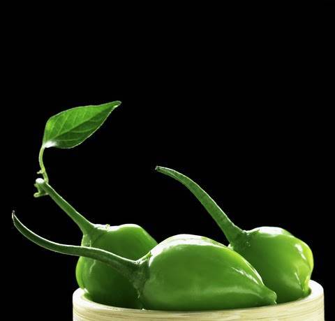 Taste Cuisine Personal Chef | restaurant | 4605 Post Oak Pl Dr, Houston, TX 77027, USA | 7134899794 OR +1 713-489-9794