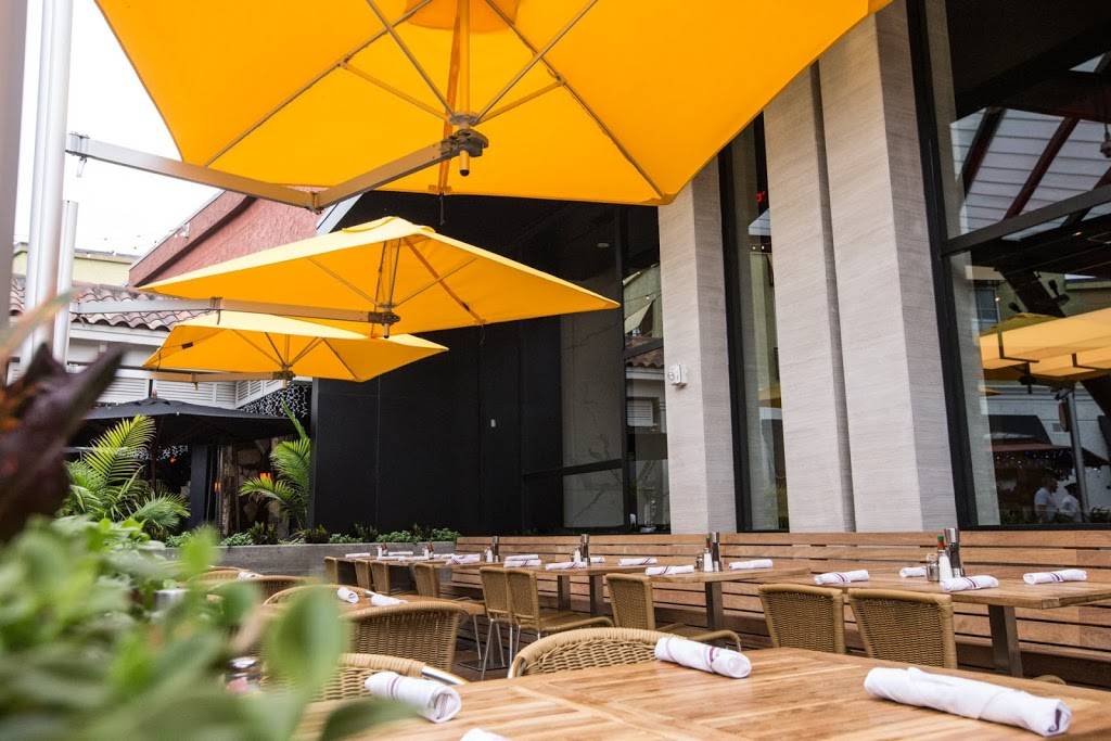 Doc Bs Restaurant + Bar | restaurant | 2223 N Westshore Blvd B-206, Tampa, FL 33607, USA | 8134986200 OR +1 813-498-6200