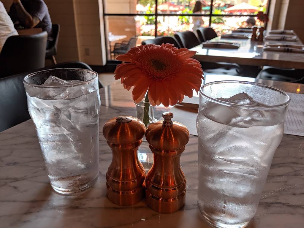 North Italia | restaurant | 11898 Market St, Reston, VA 20190, USA | 5713250823 OR +1 571-325-0823