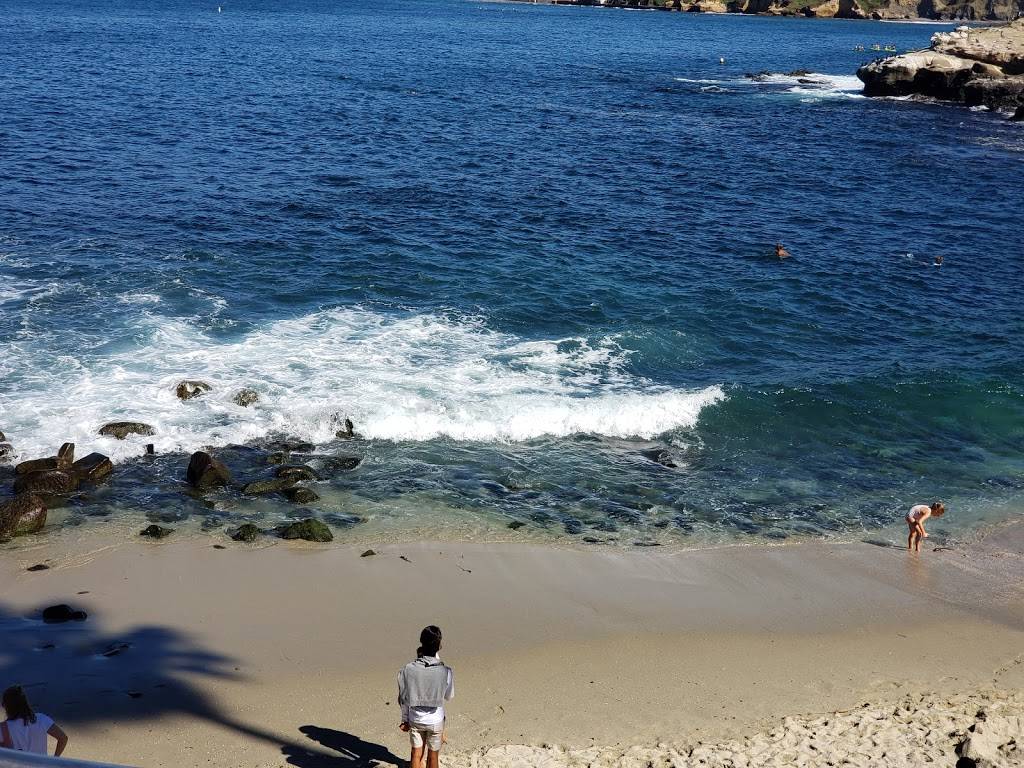 Potbelly Sandwich Shop | restaurant | 326 14th Ave SE, Minneapolis, MN 55414, USA | 6123310191 OR +1 612-331-0191