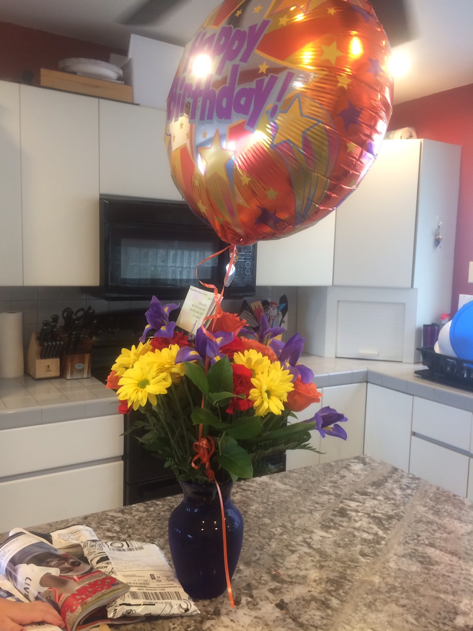 Dogs A Plenty | restaurant | 2643 Streetfair Ln, Tallahassee, FL 32317, USA | 8502199398 OR +1 850-219-9398