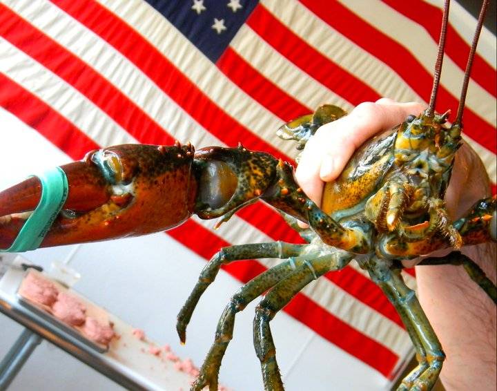 Edgartown Meat & Fish Market | cafe | 240 Edgartown-Vineyard Haven Rd, Edgartown, MA 02539, USA | 5086276200 OR +1 508-627-6200