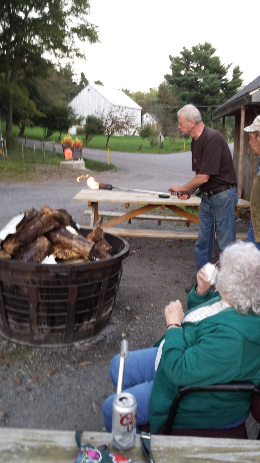 Honeys Pawn Run Saloon | restaurant | 485 Boy Scout Rd, Oakland, MD 21550, USA | 3013876655 OR +1 301-387-6655