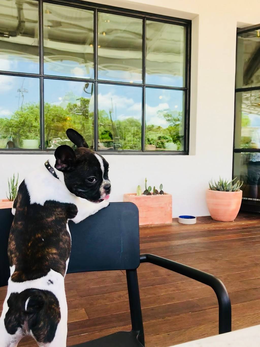 Hanks Austin | restaurant | 5811 Berkman Dr, Austin, TX 78723, USA | 5126098077 OR +1 512-609-8077