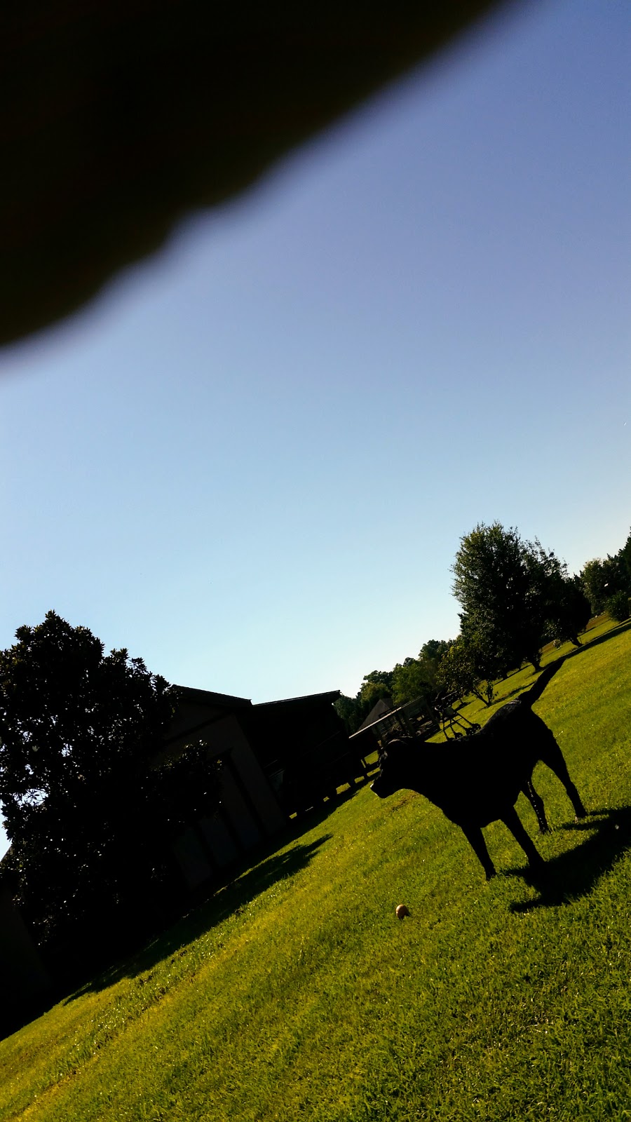 Backyard Cafe | restaurant | 3211 Moffett Rd, Mobile, AL 36607, USA | 2514734739 OR +1 251-473-4739