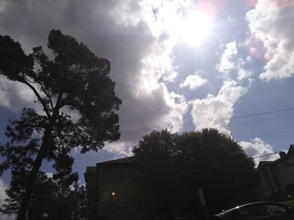 Kellys Authentic Jamaican Food | restaurant | 145 Epps Bridge Rd, Athens, GA 30606, USA | 7063695400 OR +1 706-369-5400