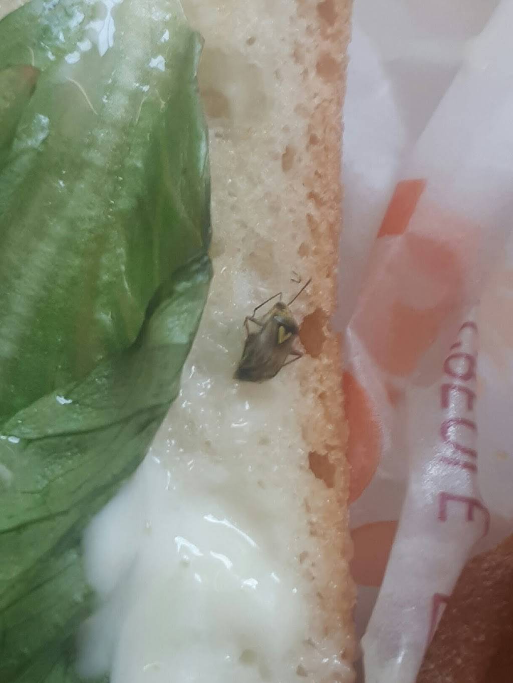 Popeyes Louisiana Kitchen | restaurant | 9 Vanier Ln, North York, ON M3J 2S5, Canada | 4167365883 OR +1 416-736-5883