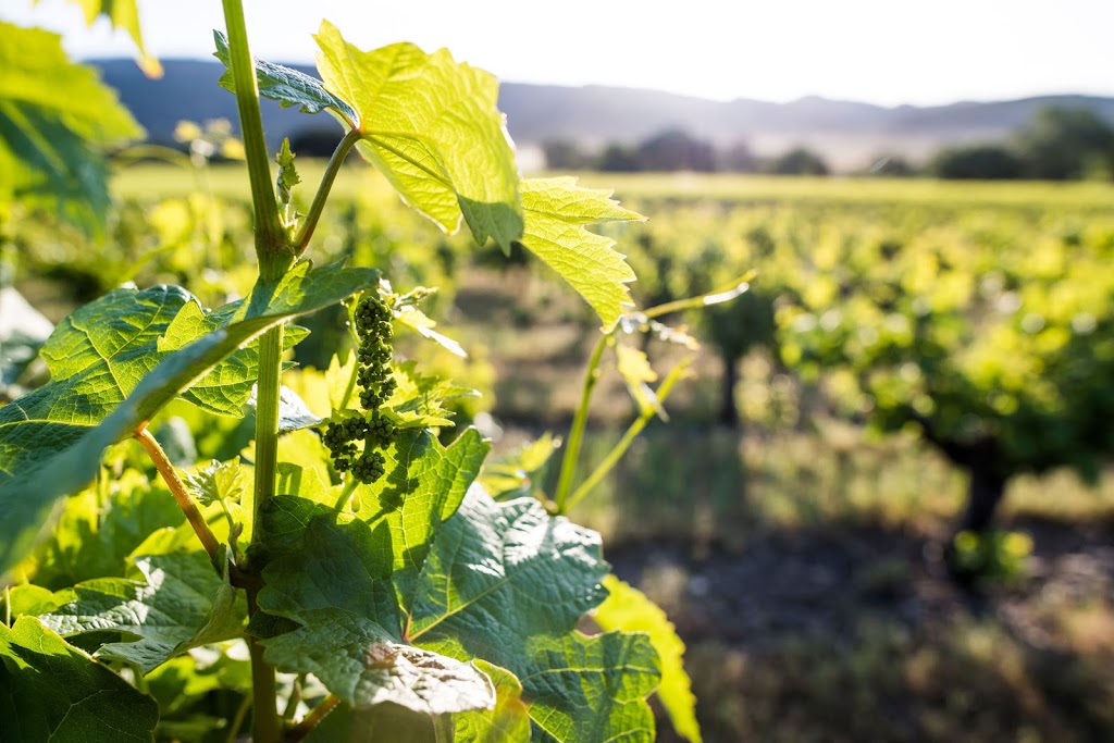 Abbots Passage Winery and Mercantile | restaurant | 777 Madrone Rd, Glen Ellen, CA 95442, USA | 7079393017 OR +1 707-939-3017