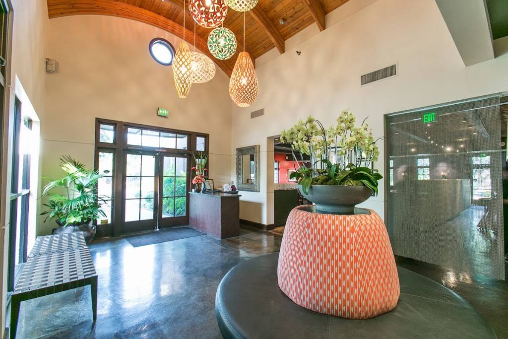 Manuels | restaurant | 10201 Jollyville Rd, Austin, TX 78759, USA | 5123451042 OR +1 512-345-1042