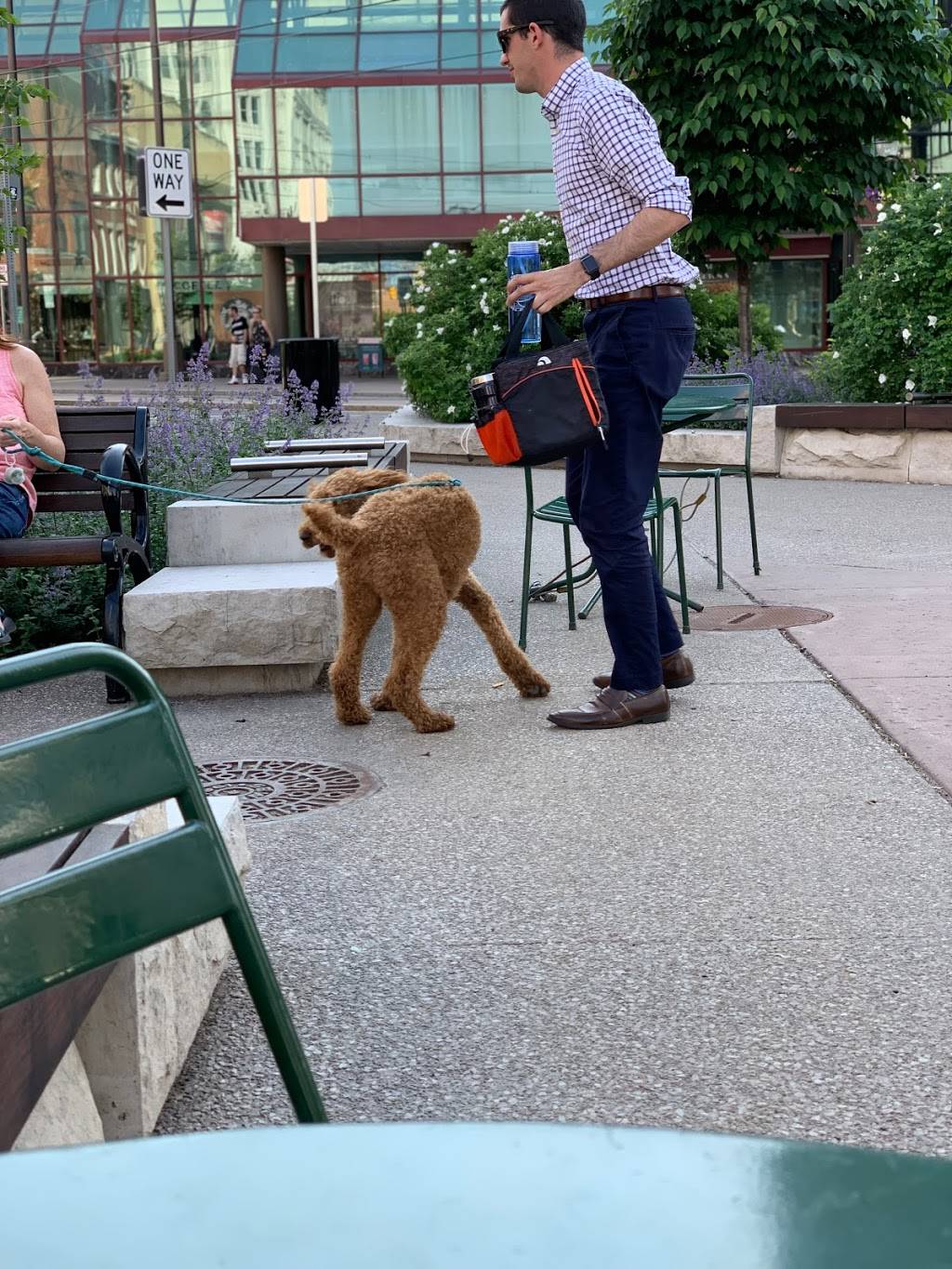 New Dragon Express | restaurant | 525 Main St, Buffalo, NY 14203, USA | 7168558888 OR +1 716-855-8888