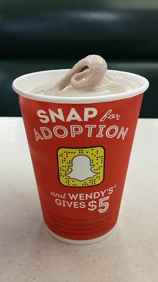 Wendys | restaurant | 1041 N 3rd Ave, Chatsworth, GA 30705, USA | 7066954100 OR +1 706-695-4100