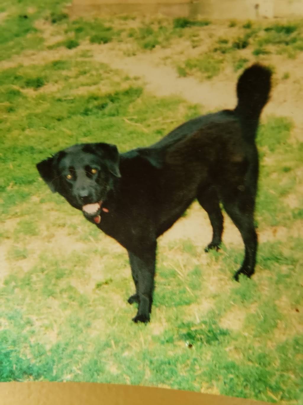 Waffle House | meal takeaway | 2701 S Providence Rd, Columbia, MO 65203, USA | 5734491515 OR +1 573-449-1515