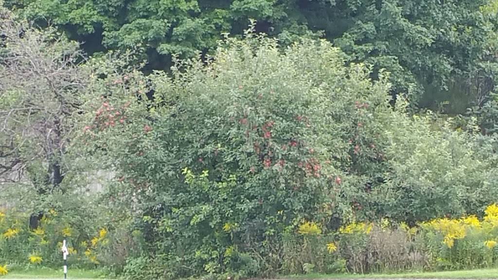 The Summit Grill | restaurant | 4815 Old U.S. Highway 27, Gaylord, MI 49735, USA | 9897059070 OR +1 989-705-9070