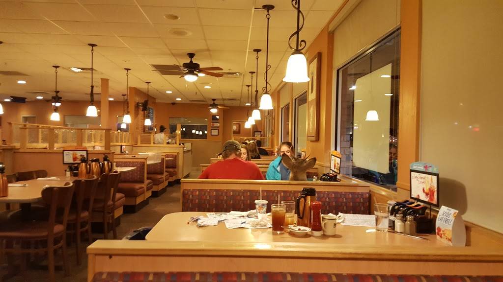 IHOP | bakery | 30200 US Hwy 19 N, Clearwater, FL 33761, USA | 7277894467 OR +1 727-789-4467