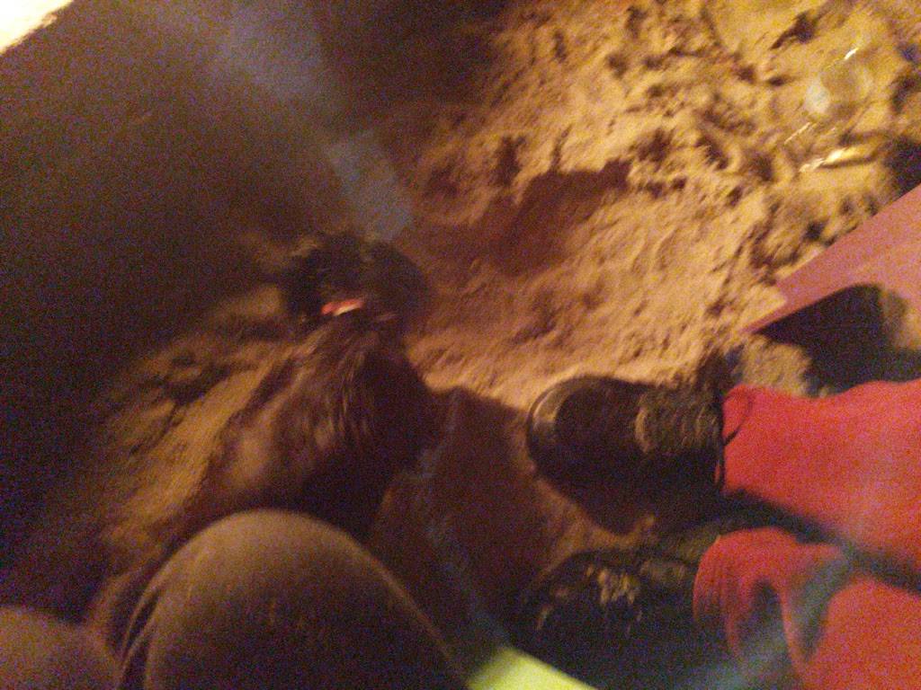 Vikings Den | restaurant | 100 Laguna Dr, Huron, OH 44839, USA | 4194337649 OR +1 419-433-7649