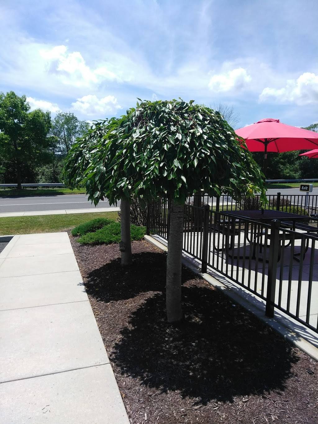 Dairy Queen | restaurant | 1330 W Industrial Blvd, Cumberland, MD 21502, USA | 3017226373 OR +1 301-722-6373