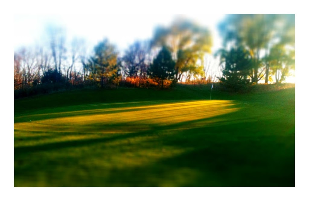 The Grove Golf Course | restaurant | 211 Walnut Drive, Cochrane, WI 54622, USA | 6082482800 OR +1 608-248-2800