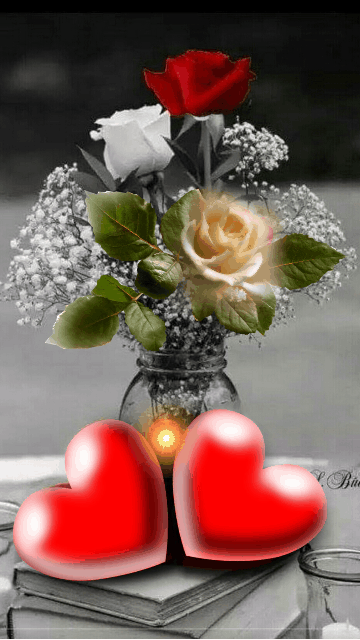 El Zarape | restaurant | 1065 Federal Blvd, Denver, CO 80204, USA | 3038930394 OR +1 303-893-0394