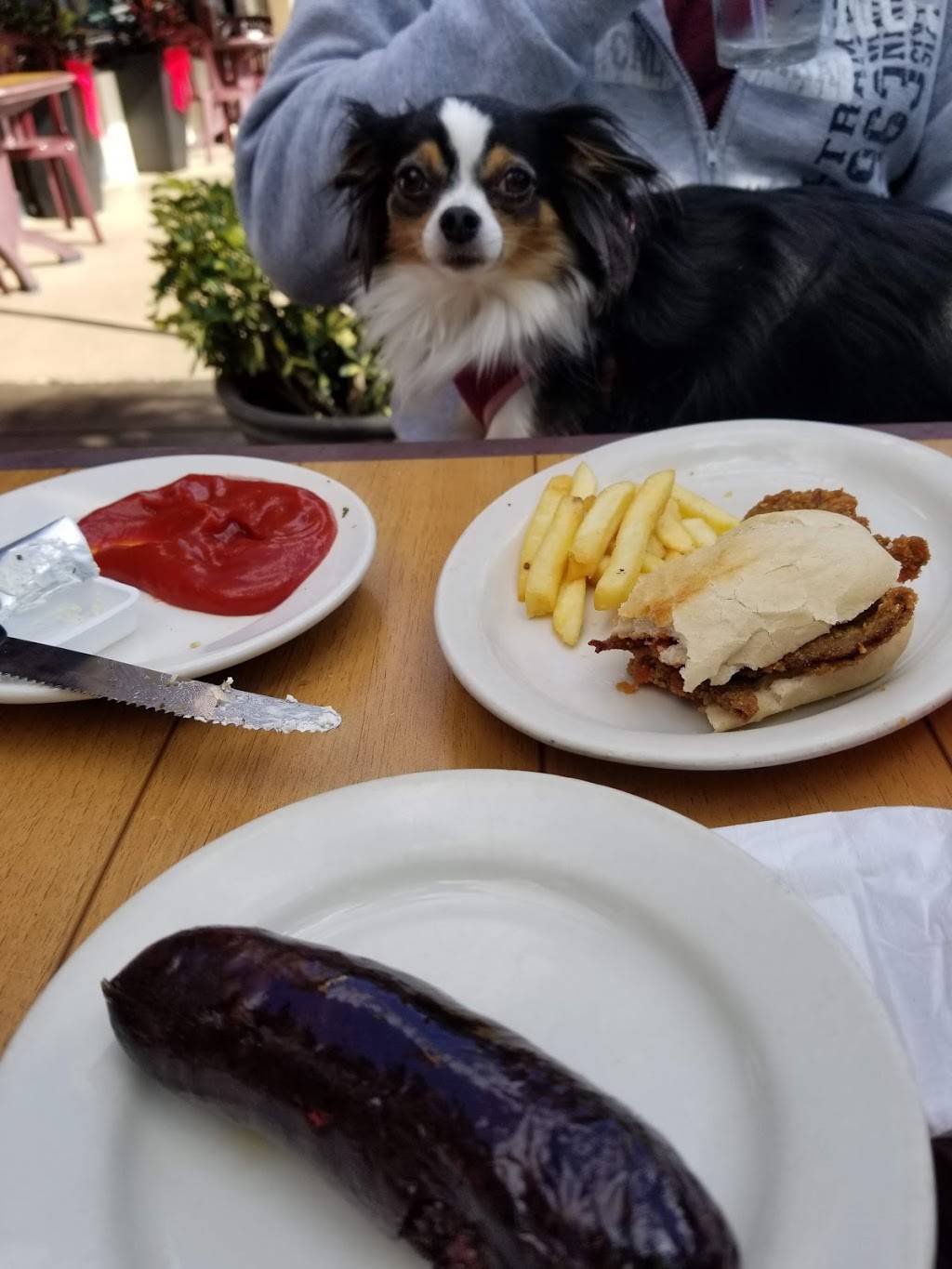 La Nueva Argentina | restaurant | 10121 SW 72nd St, Miami, FL 33173, USA | 3052744887 OR +1 305-274-4887