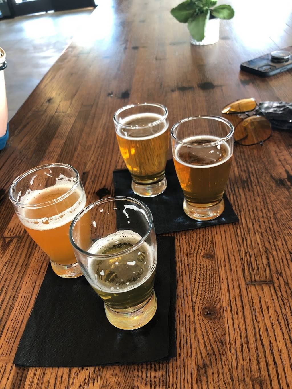 Raices Brewing Company | restaurant | 2060 W Colfax Ave, Denver, CO 80204, USA | 7202952437 OR +1 720-295-2437