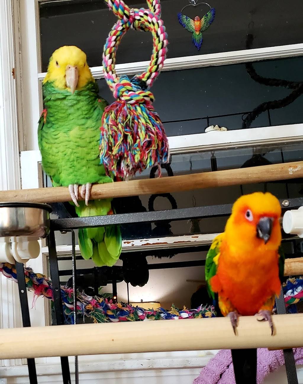 Which Wich Superior Sandwiches | restaurant | 1028 23rd St SW, Roanoke, VA 24015, USA | 5402063746 OR +1 540-206-3746